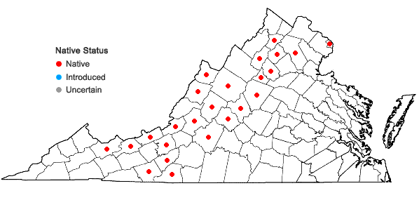 Locations ofMelanthium hybridum Walter in Virginia