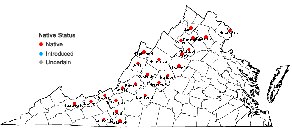 Locations ofMelanthium hybridum Walter in Virginia