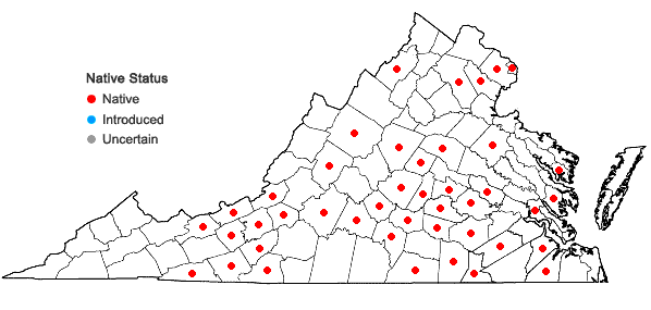 Locations ofMelanthium virginicum L. in Virginia