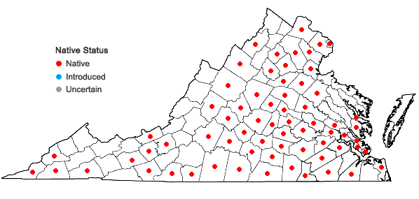 Locations ofMelica mutica Walt. in Virginia