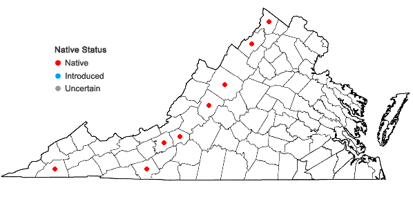 Locations ofMelica nitens (Scribn.) Nutt. ex Piper in Virginia