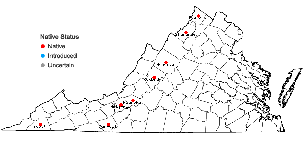 Locations ofMelica nitens (Scribn.) Nutt. ex Piper in Virginia