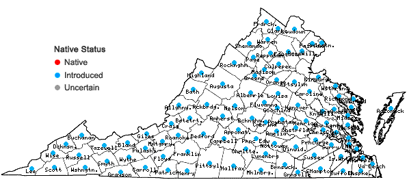 Locations ofMelilotus officinalis (L.) Lam. in Virginia