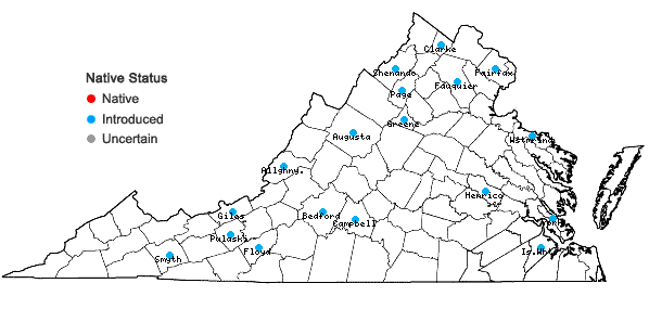 Locations ofMelissa officinalis L. in Virginia