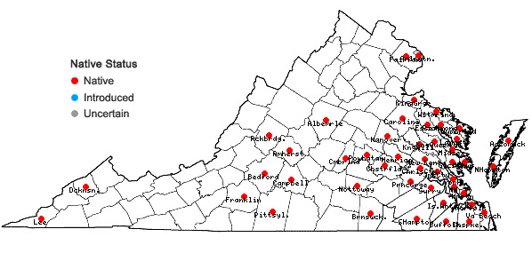 Locations ofMelothria pendula L. in Virginia