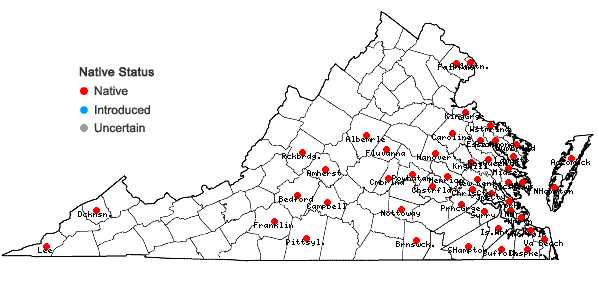 Locations ofMelothria pendula L. in Virginia