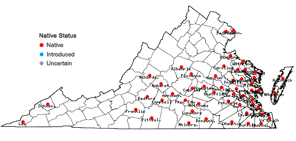 Locations ofMelothria pendula L. in Virginia