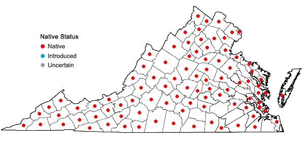 Locations ofMenispermum canadense L. in Virginia