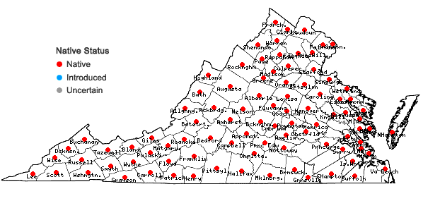 Locations ofMenispermum canadense L. in Virginia