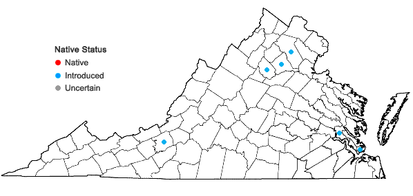 Locations ofMentha aquatica L. in Virginia