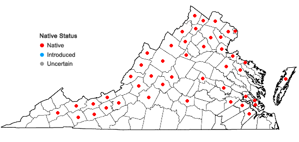 Locations ofMentha canadensis L. in Virginia