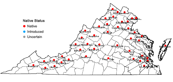 Locations ofMentha canadensis L. in Virginia