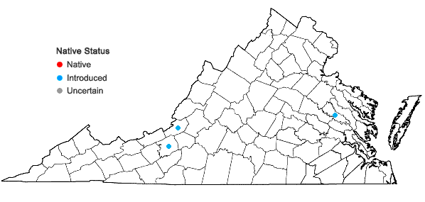 Locations ofMentha longifolia (L.) L. in Virginia