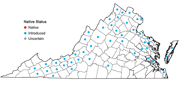 Locations ofMentha spicata L. in Virginia