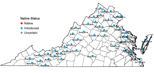 Locations ofMentha spicata L. in Virginia