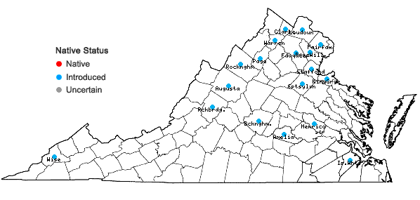 Locations ofMentha ×gracilis Sole in Virginia