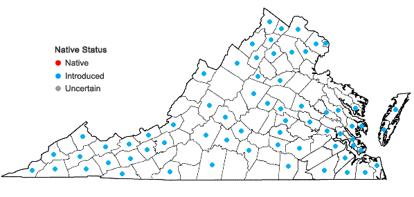 Locations ofMentha ×piperita L. in Virginia