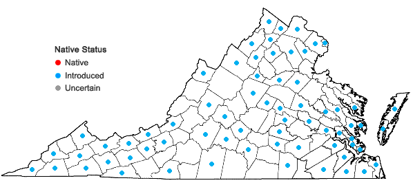 Locations ofMentha ×piperita L. in Virginia