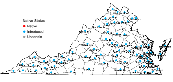 Locations ofMentha ×piperita L. in Virginia