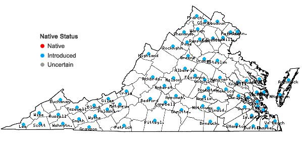 Locations ofMentha ×piperita L. in Virginia