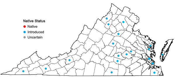 Locations ofMentha ×rotundifolia (L.) Huds. in Virginia