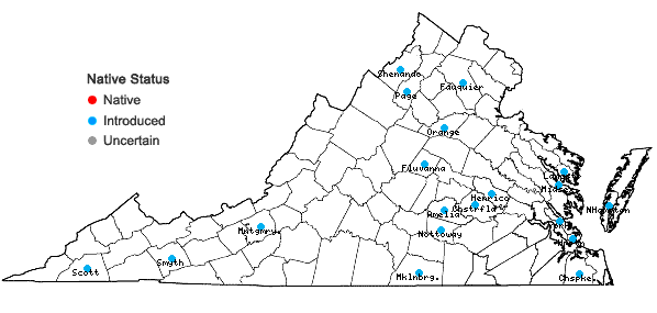 Locations ofMentha ×rotundifolia (L.) Huds. in Virginia