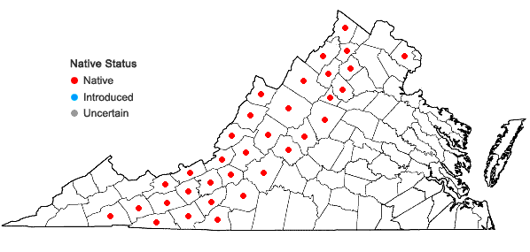 Locations ofMenziesia pilosa (Michx. ex Lam.) Juss. ex Pers. in Virginia