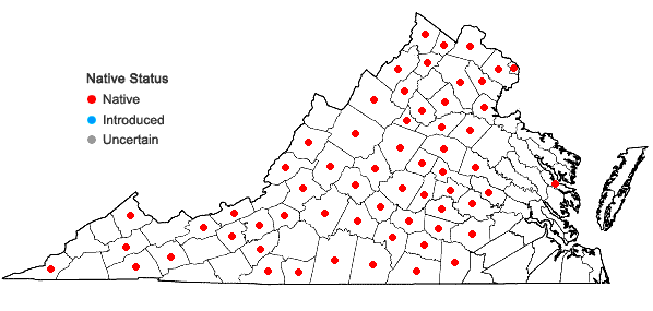 Locations ofMertensia virginica (L.) Pers. ex Link in Virginia