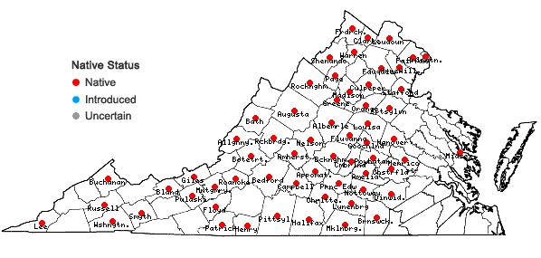 Locations ofMertensia virginica (L.) Pers. ex Link in Virginia