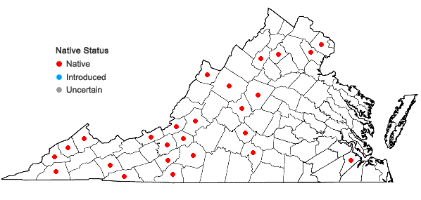 Locations ofMetzgeria conjugata Lindberg in Virginia