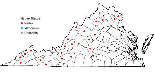 Locations ofMetzgeria conjugata Lindberg in Virginia