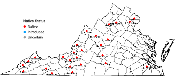 Locations ofMetzgeria conjugata Lindberg in Virginia