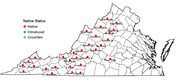 Locations ofMetzgeria crassipilis (Lindb.) A. Evans in Virginia