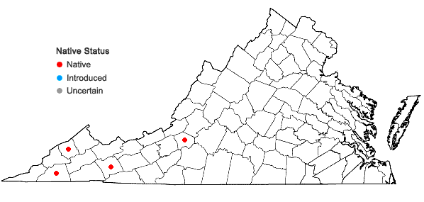 Locations ofMetzgeria leptoneura Spruce in Virginia