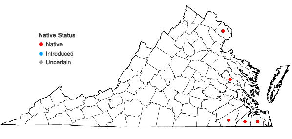 Locations ofMetzgeria myriopoda Lindberg in Virginia