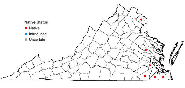 Locations ofMetzgeria myriopoda Lindberg in Virginia