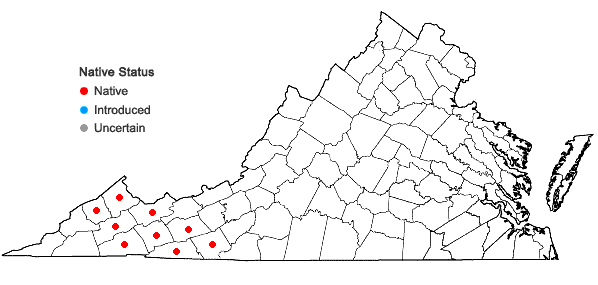 Locations ofMicranthes caroliniana (Gray) Small in Virginia
