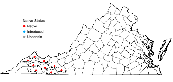 Locations ofMicranthes caroliniana (Gray) Small in Virginia