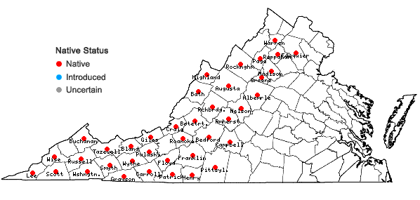 Locations ofMicranthes micranthidifolia (Haw.) Small in Virginia