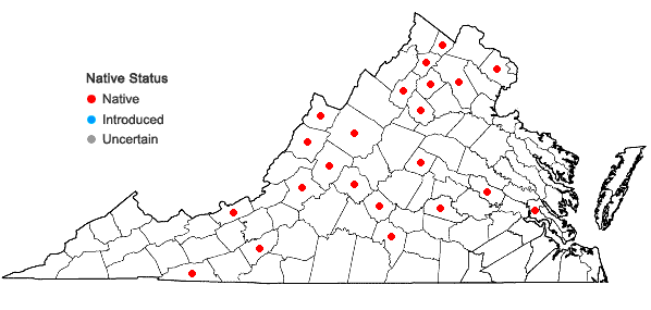 Locations ofMicranthes pensylvanica (L.) Haw. in Virginia
