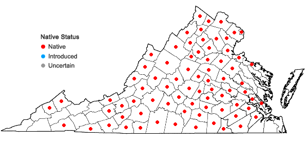Locations ofMicranthes virginiensis (Michaux) Small in Virginia
