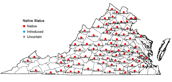 Locations ofMicranthes virginiensis (Michaux) Small in Virginia