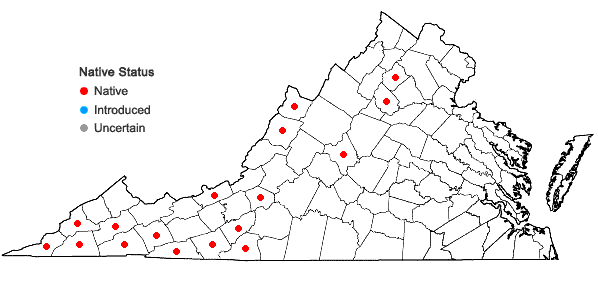 Locations ofMicrolejeunea ulicina (Taylor) Steph. in Virginia