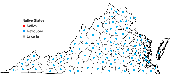 Locations ofMicrostegium vimineum (Trin.) A. Camus in Virginia