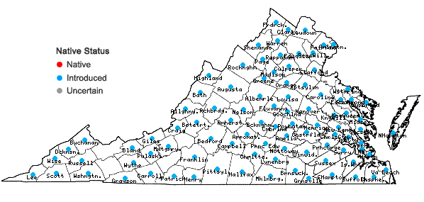 Locations ofMicrostegium vimineum (Trin.) A. Camus in Virginia