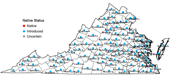 Locations ofMicrostegium vimineum (Trin.) A. Camus in Virginia