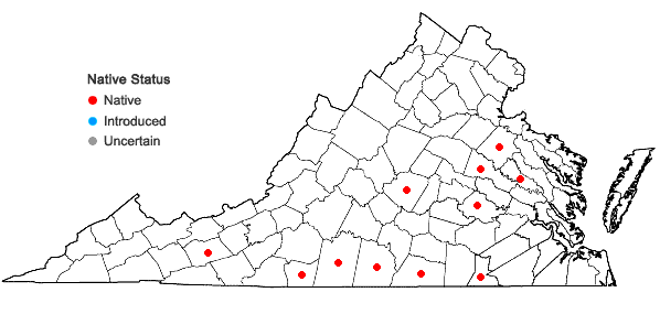 Locations ofMimosa microphylla Dryander in Virginia