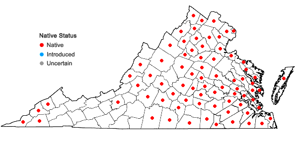 Locations ofMimulus alatus Aiton in Virginia