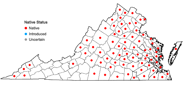 Locations ofMimulus alatus Aiton in Virginia