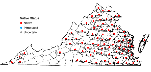 Locations ofMimulus alatus Aiton in Virginia